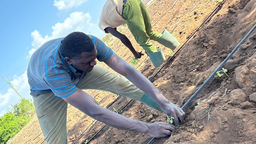 Sustainable Agriculture Initiative - Image 8